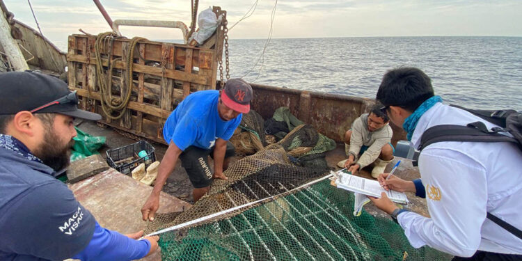 Guatemala fortalece controles para prevenir la pesca ilegal y proteger los recursos marinos