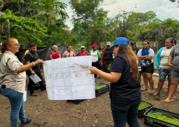 Huertos familiares fortalecen la alimentación infantil en comunidades de Escuintla
