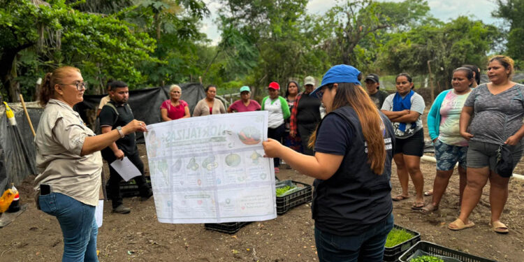 Huertos familiares fortalecen la alimentación infantil en comunidades de Escuintla