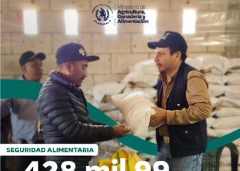 Más de 428 mil familias fortalecen su seguridad alimentaria