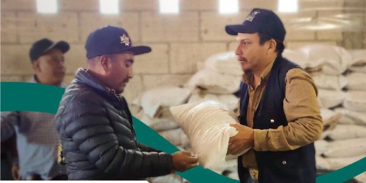 Más de 428 mil familias fortalecen su seguridad alimentaria