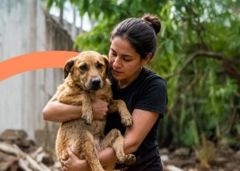 Una mascota es para toda la vida