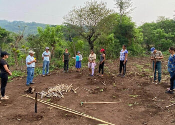 Identifican riesgos por lluvias y calor en cultivos de 147 municipios