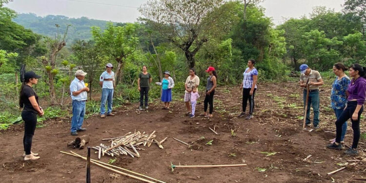 Identifican riesgos por lluvias y calor en cultivos de 147 municipios