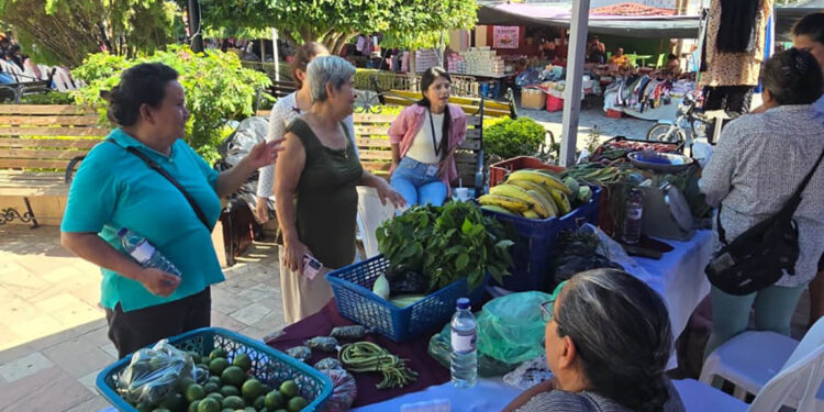 Impulsan Feria del Agricultor en San Cristóbal Acasaguastlán