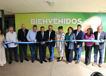 Sector aguacatero fortalece alianzas para ampliar mercados de exportación