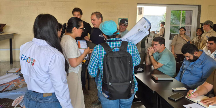 Impulsan el Programa Global Doctores de los Suelos para fortalecer el agro