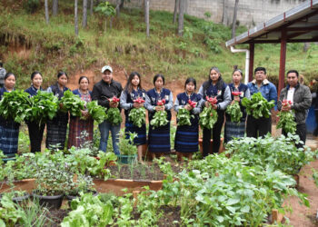 Impulsan la producción de hortalizas y educación nutricional en instituto de Chimaltenango