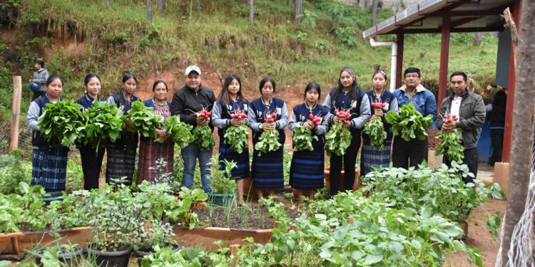 Impulsan la producción de hortalizas y educación nutricional en instituto de Chimaltenango