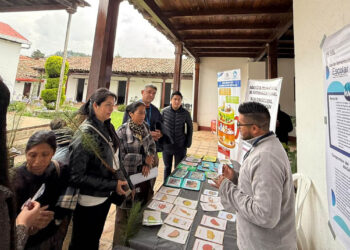 Impulsan servicios del MAGA en ferias interinstitucionales en Totonicapán