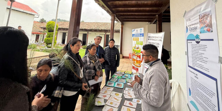 Impulsan servicios del MAGA en ferias interinstitucionales en Totonicapán