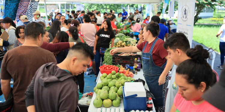 Nueva edición de la Feria del Agricultor conecta el campo con la capital