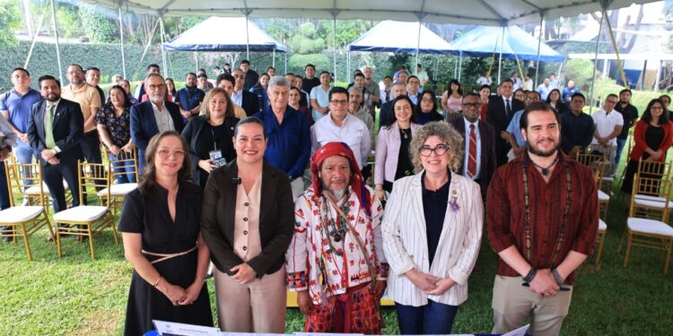 Meliponas y herencia ancestral inspiran primera conmemoración del Día de la Meliponicultura