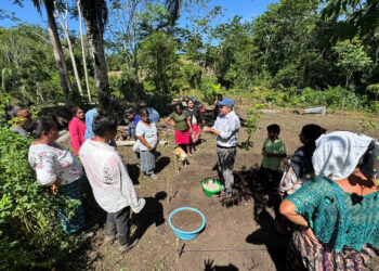 Mujeres reactivan huerto comunal en Ixcán