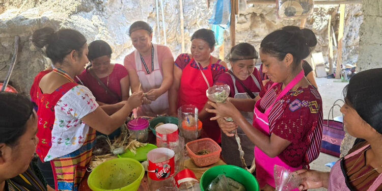 Optimizan economía familiar con transformación de alimentos en Huehuetenango