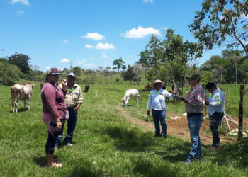 Pasturas de bajas emisiones apoyan resiliencia de productores de Alta Verapaz