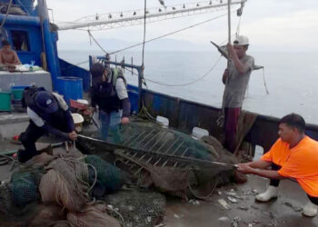 Verifican que embarcaciones camaroneras usen dispositivos de protección de tortugas marinas