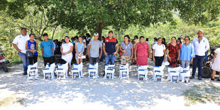 Más de 19 mil pequeños agricultores reciben insumos a tiempo para la siembra