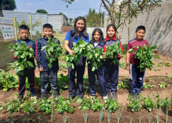Producción de hortalizas transforma educación nutricional en plantel de Chimaltenango