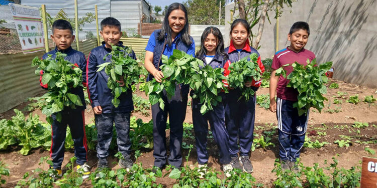Producción de hortalizas transforma educación nutricional en plantel de Chimaltenango