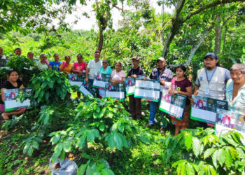 Promueven sistemas agroforestales y manejo nutricional en cultivos de café