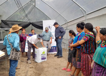 Agricultores de Salamchó fortalecen sus ingresos y generan empleo con proyectos productivos