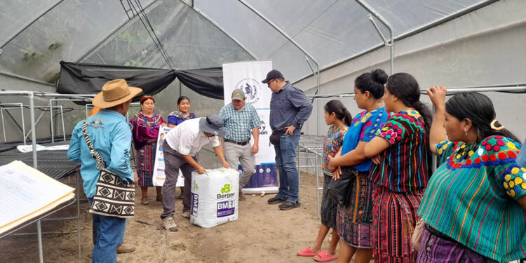 Agricultores de Salamchó fortalecen sus ingresos y generan empleo con proyectos productivos