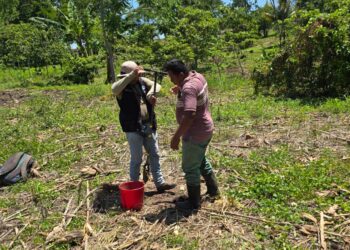 Realizan muestreo de suelos en Sayaxché, Petén