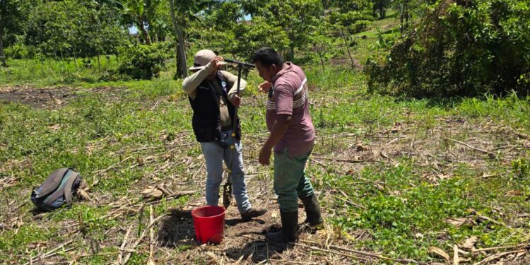 Realizan muestreo de suelos en Sayaxché, Petén