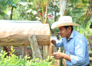 Reconocen el valor e importancia de la práctica de la Meliponicultura en Guatemala