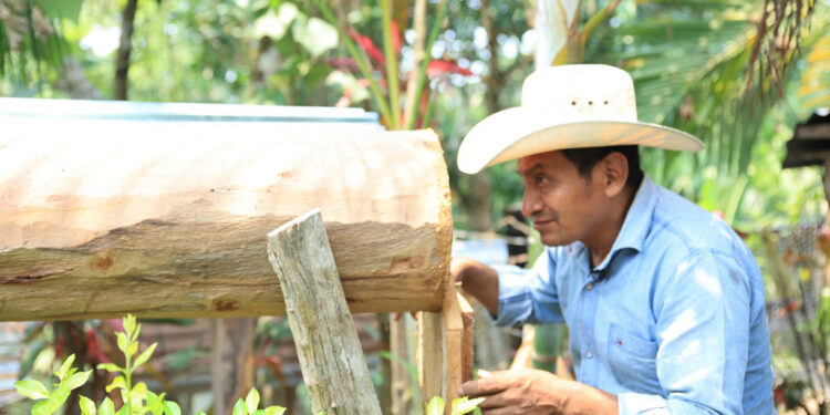 Reconocen el valor e importancia de la práctica de la Meliponicultura en Guatemala