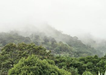 Semana de calor, humedad y lluvias