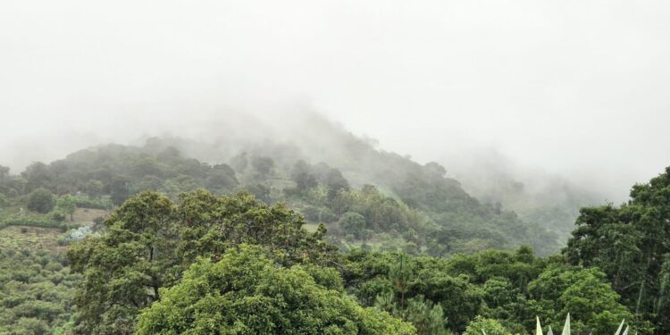 Semana de calor, humedad y lluvias