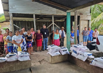 Sistema milpa fortalece la seguridad alimentaria de familias peteneras