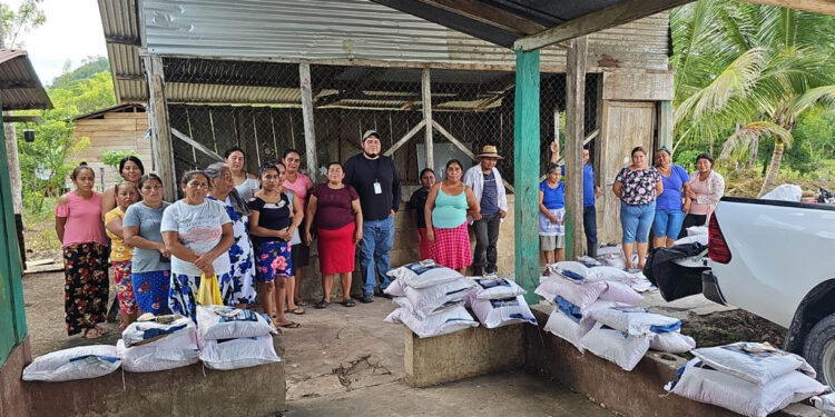 Sistema milpa fortalece la seguridad alimentaria de familias peteneras
