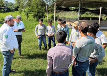 Supervisión académica fortalece formación de futuros profesionales agrícolas