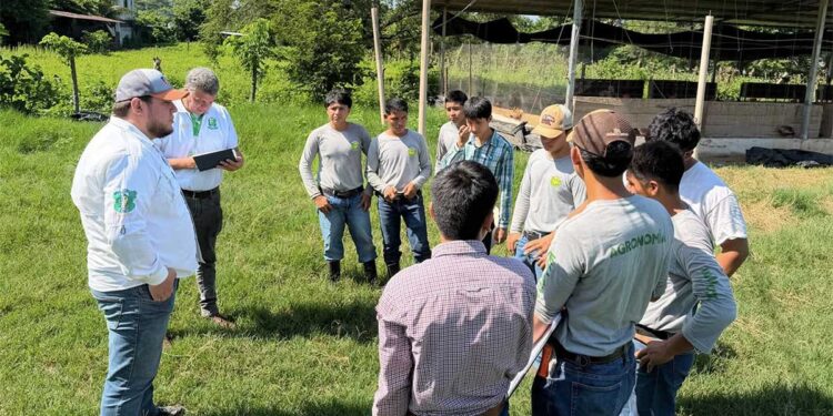 Supervisión académica fortalece formación de futuros profesionales agrícolas