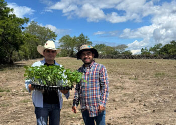 Tecnología agrícola en Jalapa optimiza rendimiento de hortalizas