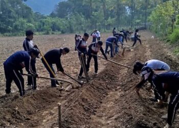 Estudiantes de Rabinal aprenden técnicas para el cultivo de yuca