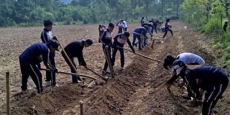 Estudiantes de Rabinal aprenden técnicas para el cultivo de yuca