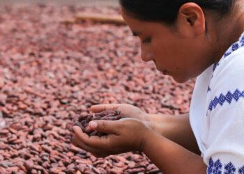 Impulsamos proyectos que fortalecen el sector agropecuario