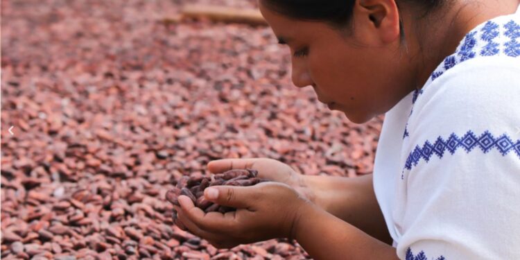 Impulsamos proyectos que fortalecen el sector agropecuario