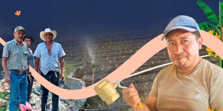 Proyecto de riego continúa beneficiando a productores agrícolas