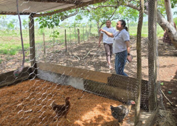 Verifican condiciones de crianza de aves en San Francisco, Petén