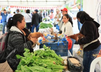 El sabor del campo llega a Petén