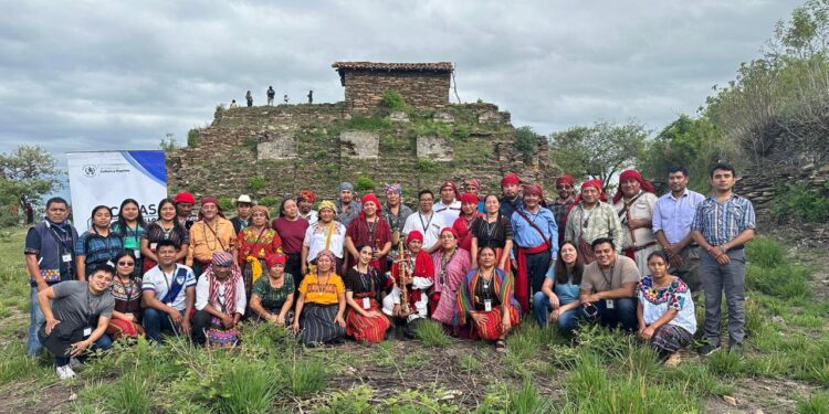 Segundo Encuentro Interregional de Ajq’ijab’ fortalece la transmisión de la sabiduría ancestral maya