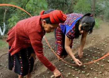 Proteja sus cultivos con plaguicidas orgánicos