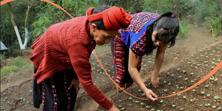 Proteja sus cultivos con plaguicidas orgánicos