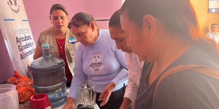 Madres aprenden beneficios de la papa para fortalecer la nutrición familiar
