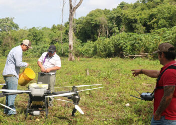 Asistencia técnica con drones beneficia a productoras de Colpetén